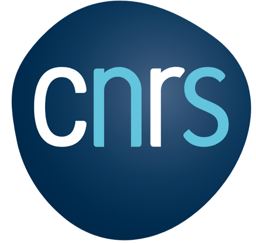 CNRS – IEMN logo
